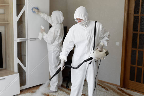 Affordable Sewage Cleanup solutions in Economy, IN